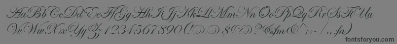 EseninScriptTwo-Schriftart – Schwarze Schriften auf grauem Hintergrund