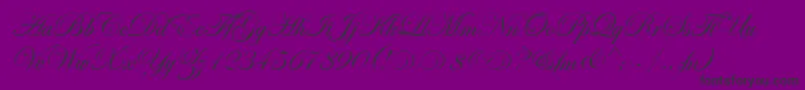 EseninScriptTwo Font – Black Fonts on Purple Background
