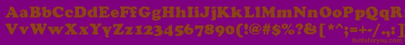 Asylbekm21cooper.Kz Font – Brown Fonts on Purple Background