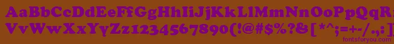 Asylbekm21cooper.Kz Font – Purple Fonts on Brown Background