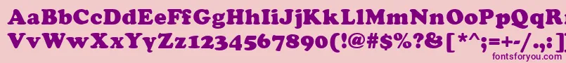 Asylbekm21cooper.Kz Font – Purple Fonts on Pink Background