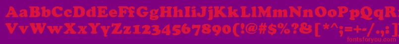 Asylbekm21cooper.Kz Font – Red Fonts on Purple Background