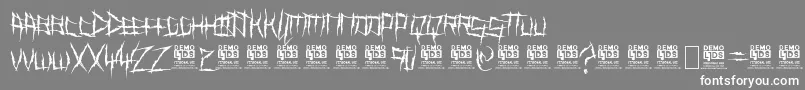DemonKillerPersonalUseフォントについての詳細 フォントDemonKillerPersonalUse – 灰色の背景に白い文字