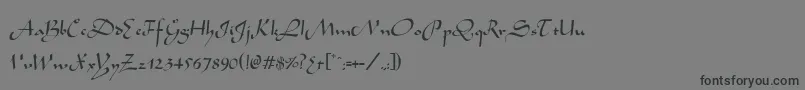 フォントWabolibNormal – 黒い文字の灰色の背景