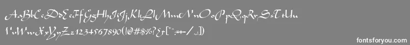 フォントWabolibNormal – 灰色の背景に白い文字