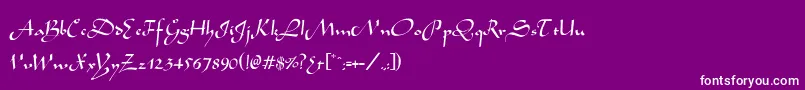 フォントWabolibNormal – 紫の背景に白い文字