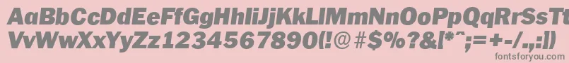 PlymouthserialBlackItalic Font – Gray Fonts on Pink Background