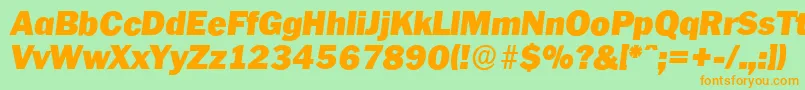 PlymouthserialBlackItalic Font – Orange Fonts on Green Background