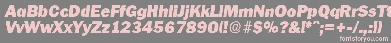 PlymouthserialBlackItalic Font – Pink Fonts on Gray Background
