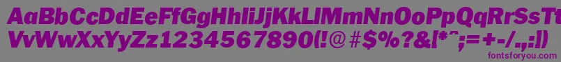 More about PlymouthserialBlackItalic Font PlymouthserialBlackItalic Font – Purple Fonts on Gray Background