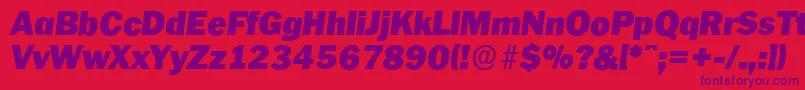 PlymouthserialBlackItalic Font – Purple Fonts on Red Background