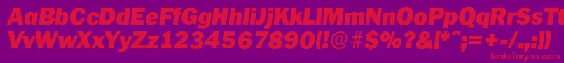 PlymouthserialBlackItalic Font – Red Fonts on Purple Background