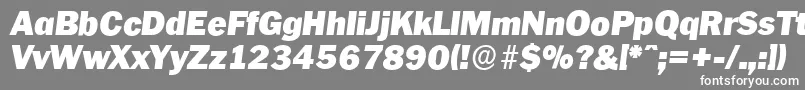 PlymouthserialBlackItalic-fontti – valkoiset fontit harmaalla taustalla