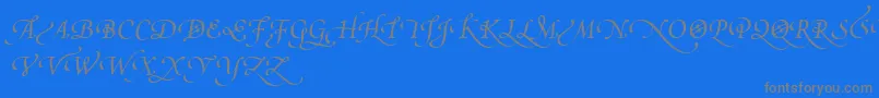 PoeticaSuppSwashCapitalsIv-Schriftart – Graue Schriften auf blauem Hintergrund