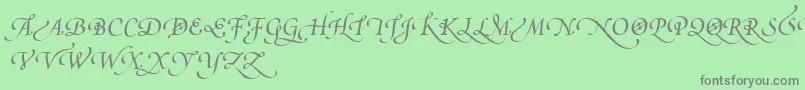PoeticaSuppSwashCapitalsIv Font – Gray Fonts on Green Background