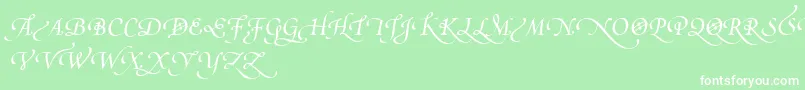 PoeticaSuppSwashCapitalsIv Font – White Fonts on Green Background