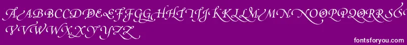 PoeticaSuppSwashCapitalsIv Font – White Fonts on Purple Background
