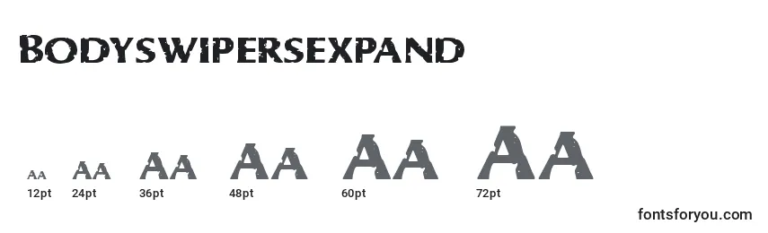 Размеры шрифта Bodyswipersexpand