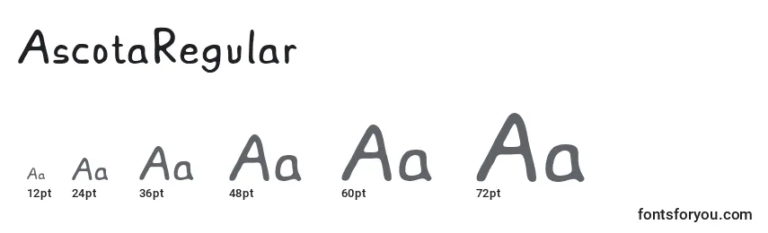 Размеры шрифта AscotaRegular