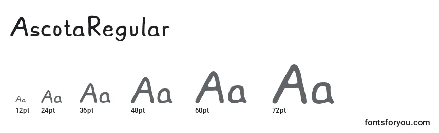 Rozmiary czcionki AscotaRegular