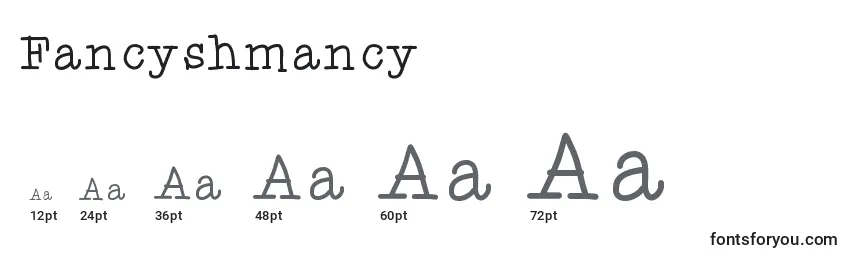 Размеры шрифта Fancyshmancy