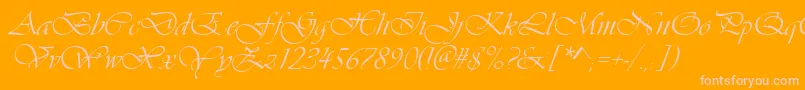 VivaldidCl Font – Pink Fonts on Orange Background