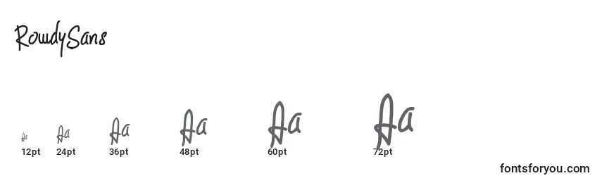 RowdySans Font Sizes