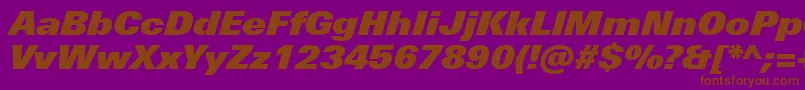 UniversNextProExtrablackItalic Font – Brown Fonts on Purple Background