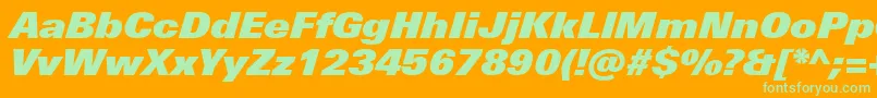 UniversNextProExtrablackItalic Font – Green Fonts on Orange Background