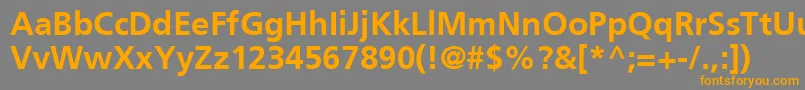 フォントFt44Bold – オレンジの文字は灰色の背景にあります。