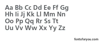 Ft44Bold Font