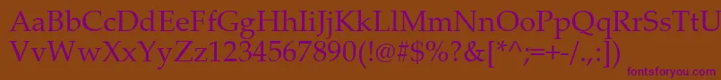 PalatinoLinotype Font – Purple Fonts on Brown Background