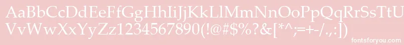 PalatinoLinotype Font – White Fonts on Pink Background