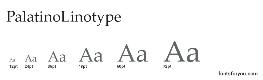 Размеры шрифта PalatinoLinotype