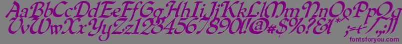 Quillo Font – Purple Fonts on Gray Background