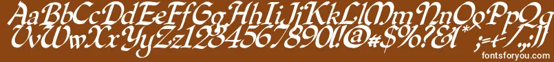 Quillo Font – White Fonts on Brown Background