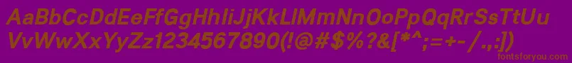Lunchtype21BoldItalic Font – Brown Fonts on Purple Background