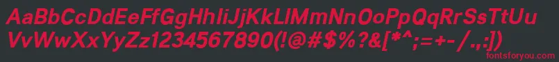 Lunchtype21BoldItalic Font – Red Fonts on Black Background