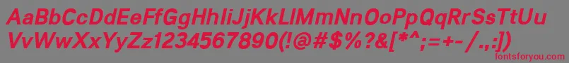 Lunchtype21BoldItalic Font – Red Fonts on Gray Background