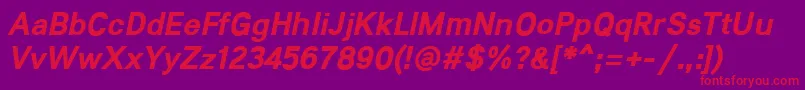 Lunchtype21BoldItalic Font – Red Fonts on Purple Background