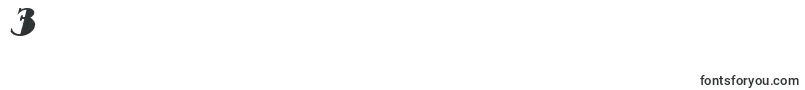 ResavyBoldItalic Font – Fonts for Digit 3