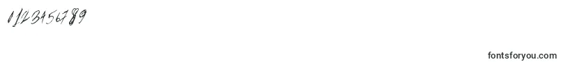 Więcej informacji o czcionce Parislabel Czcionka Parislabel – czcionki dla cyfr i liczb