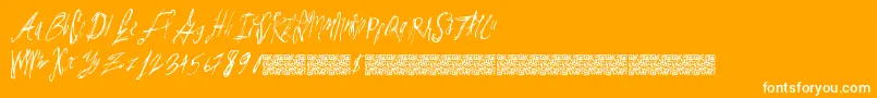 Parislabel Font – White Fonts on Orange Background