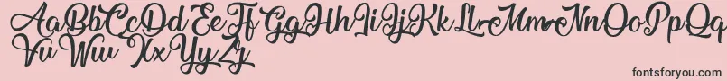 MechanicOfTheHeart Font – Black Fonts on Pink Background