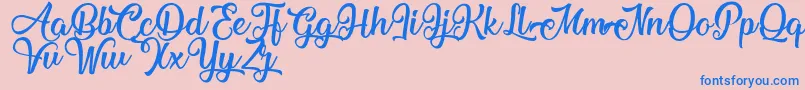 MechanicOfTheHeart Font – Blue Fonts on Pink Background