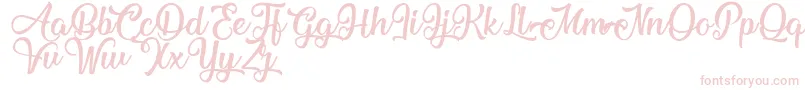 MechanicOfTheHeart Font – Pink Fonts on White Background