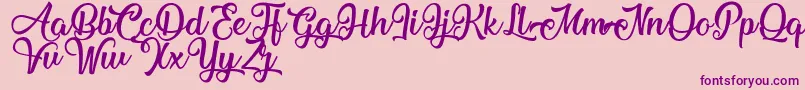 MechanicOfTheHeart Font – Purple Fonts on Pink Background