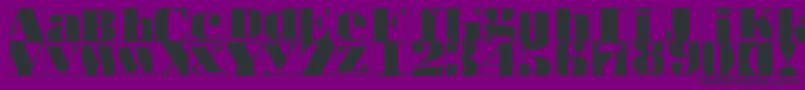 Bodoblacksquaresinvers Font – Black Fonts on Purple Background