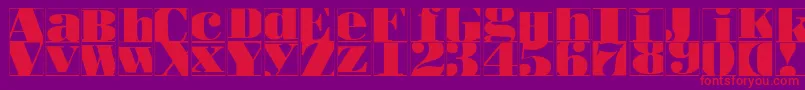 Bodoblacksquaresinvers Font – Red Fonts on Purple Background