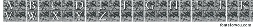 Czcionka Pompadourinitials – kroje pisma w dużych rozmiarach